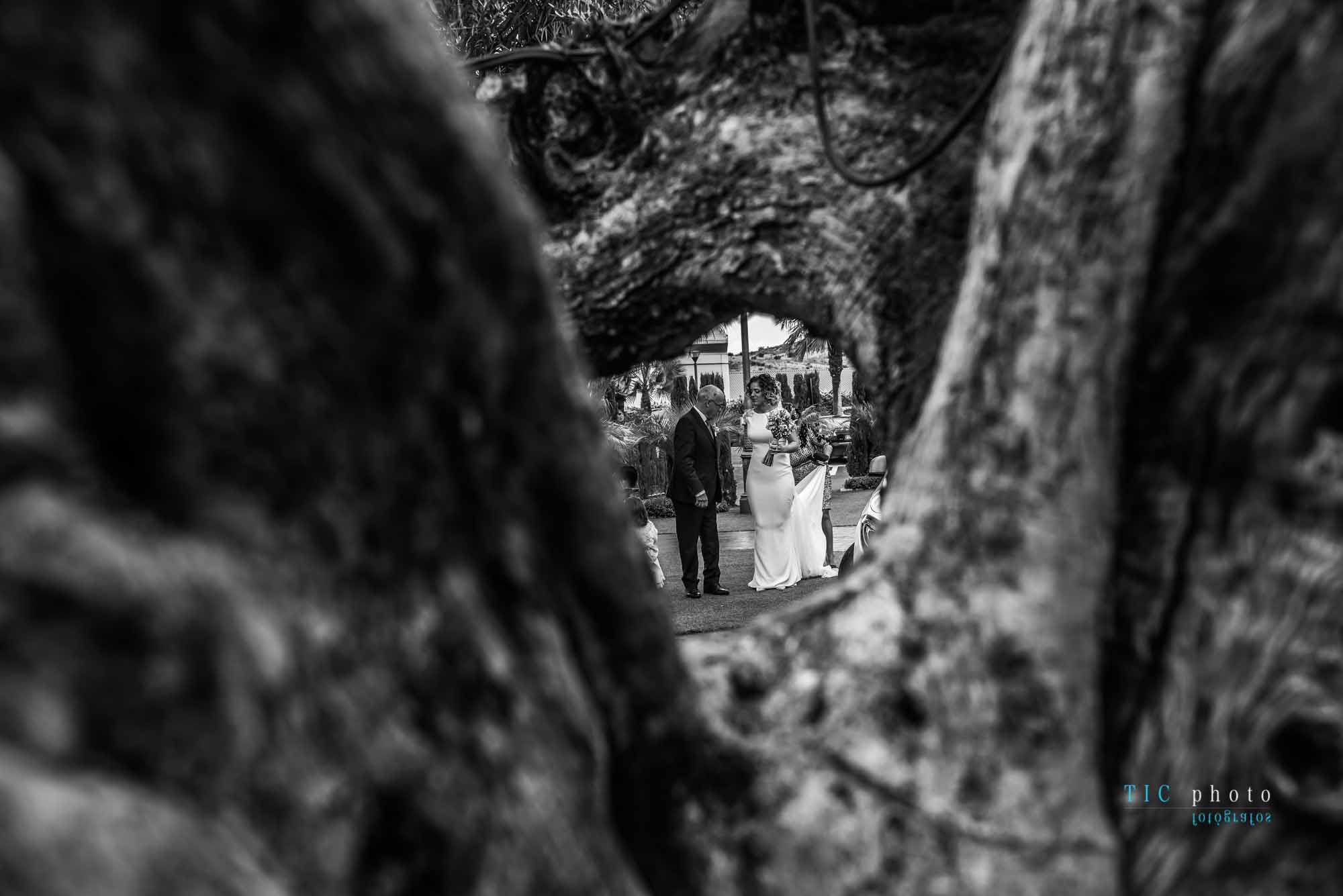 Pedro y Estefanía. Boda Murcia.2019 32 Pedro y Estefanía. Boda Murcia.2019 32