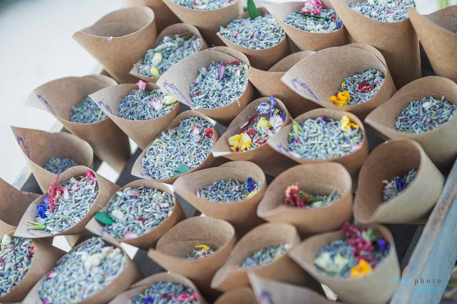 Boda en Los Lagos de María. 2019 53