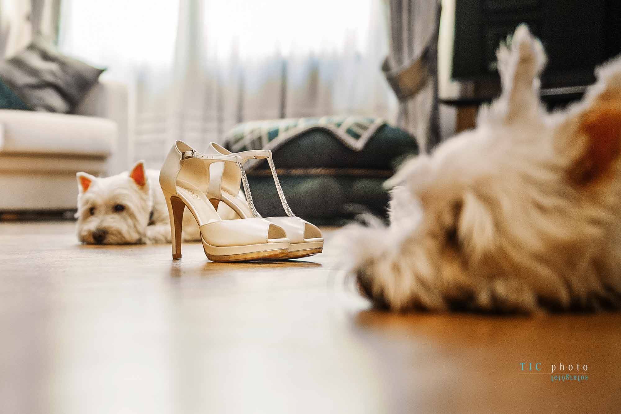 Boda en Las Pedroñeras. Josue y Beatriz.2018 15 Boda en Las Pedroñeras. Josue y Beatriz.2018 15