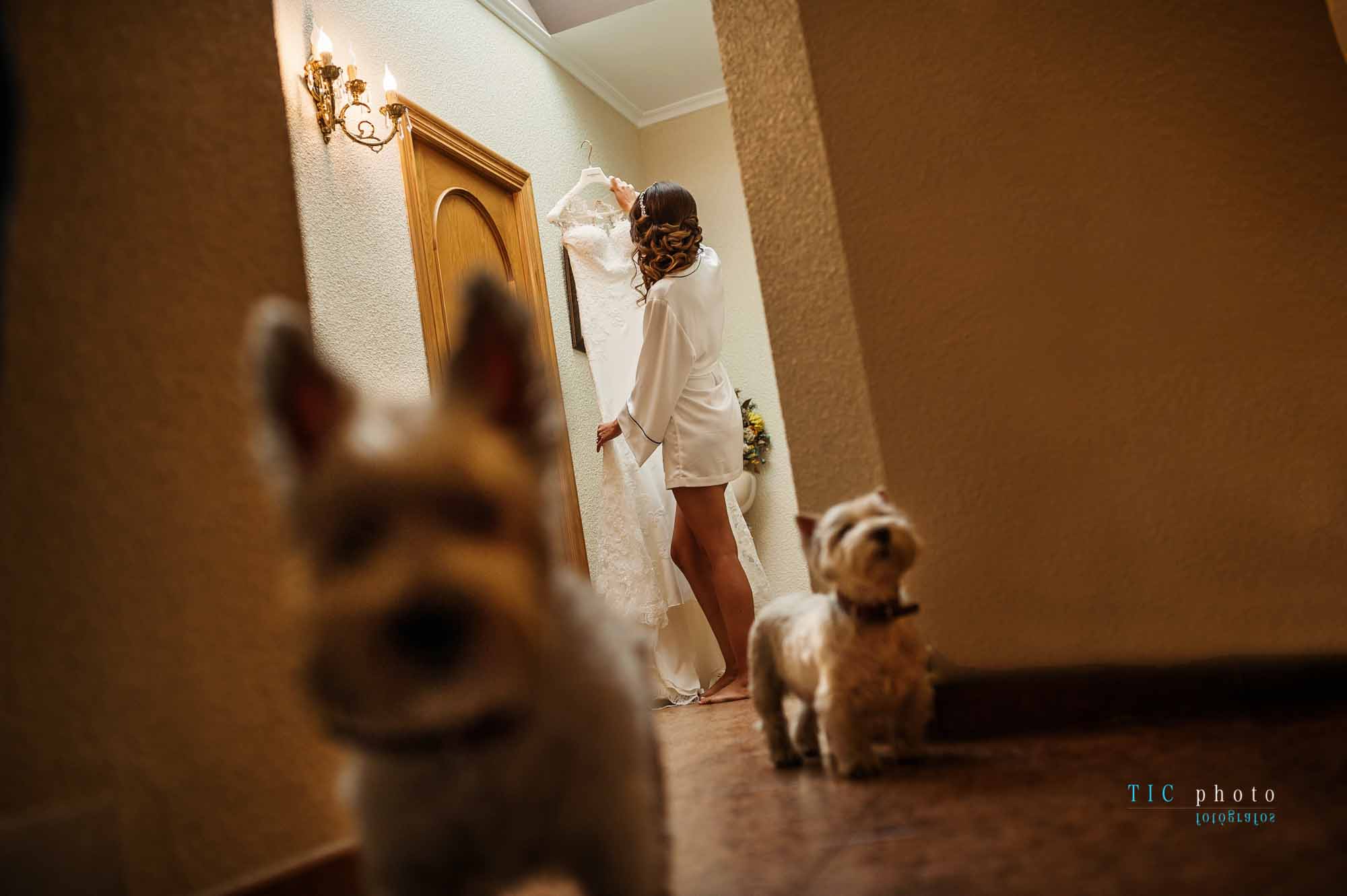 Boda en Las Pedroñeras. Josue y Beatriz.2018 17 Boda en Las Pedroñeras. Josue y Beatriz.2018 17