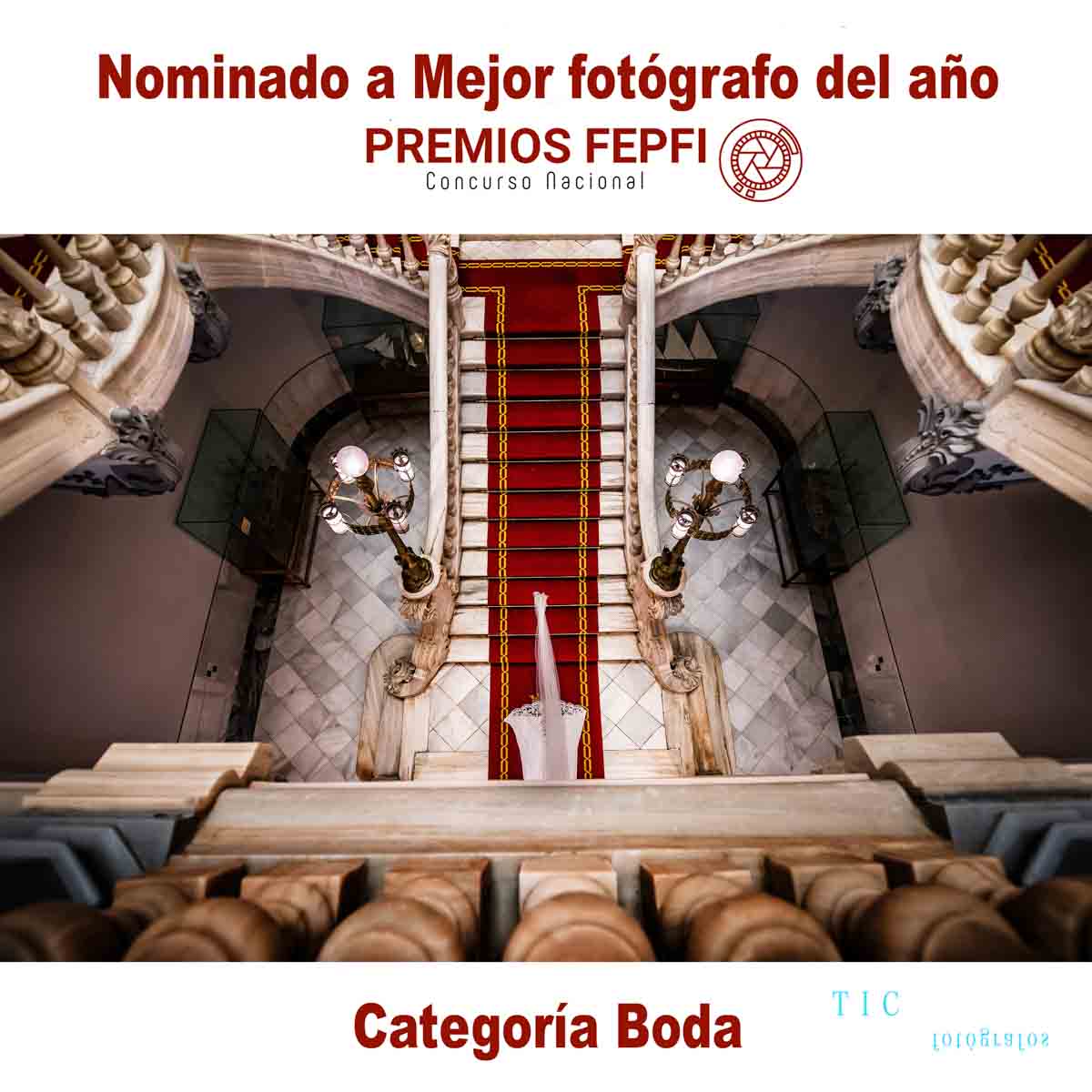 mejor fotógrafo del año