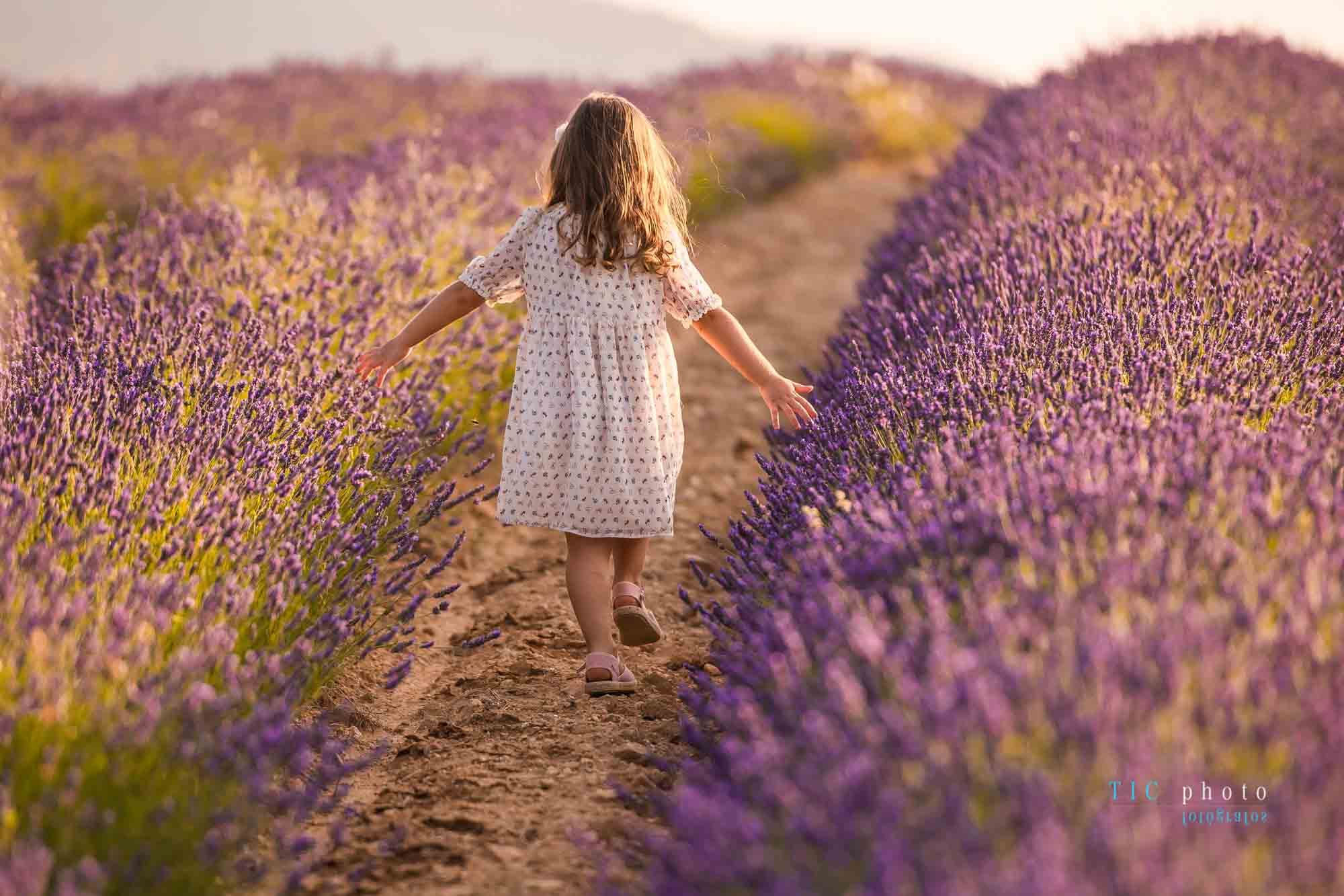 Fotos en Campos de Lavanda. 2021 11