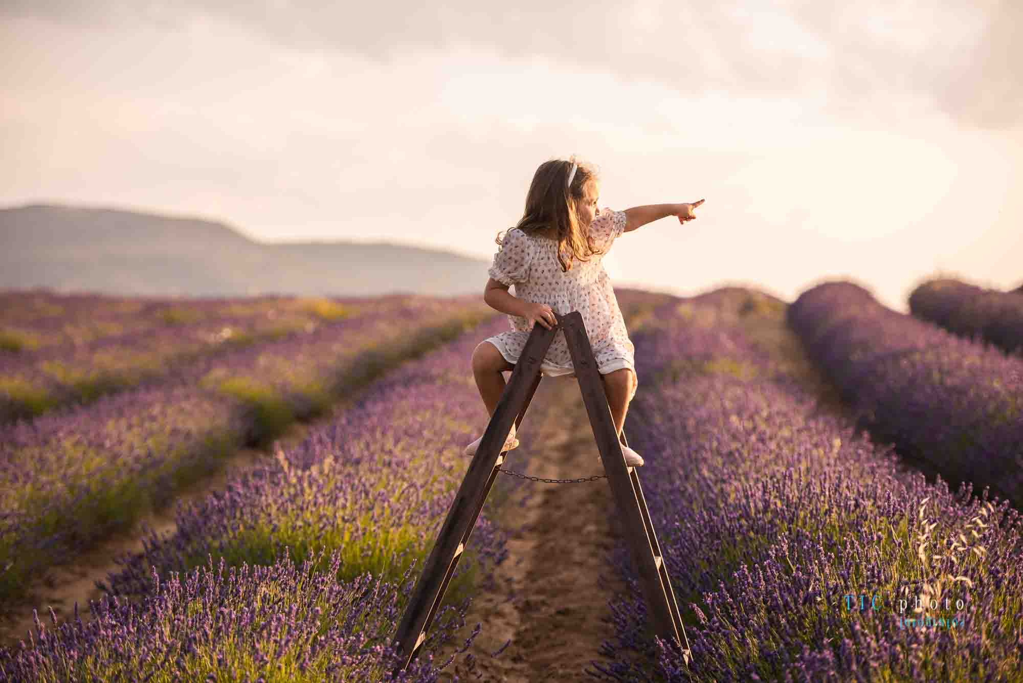 Fotos en Campos de Lavanda. 2021 16