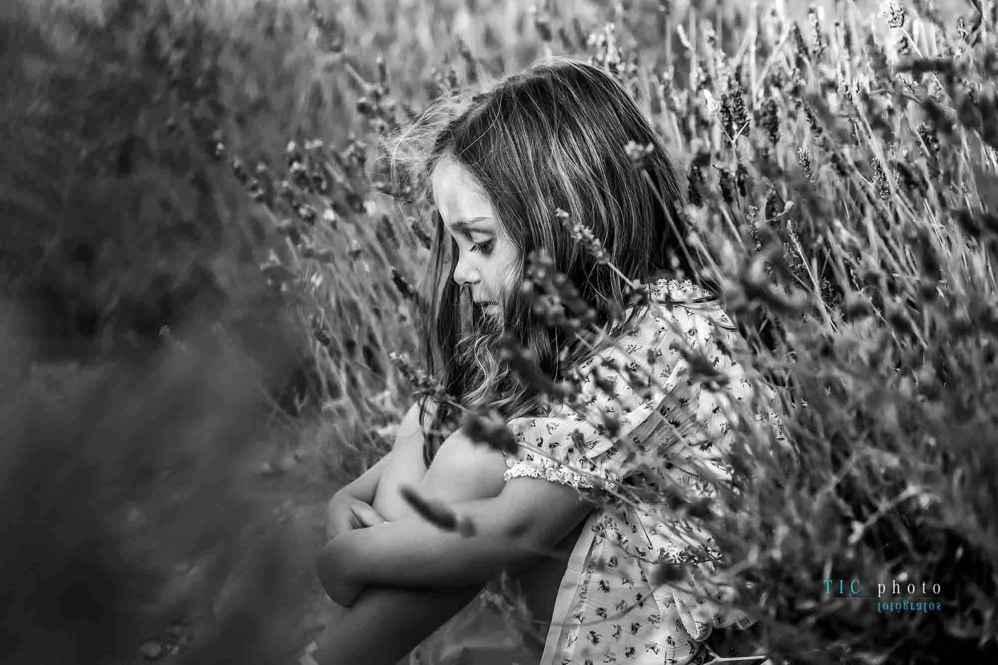 Fotos en Campos de Lavanda. 2021 14