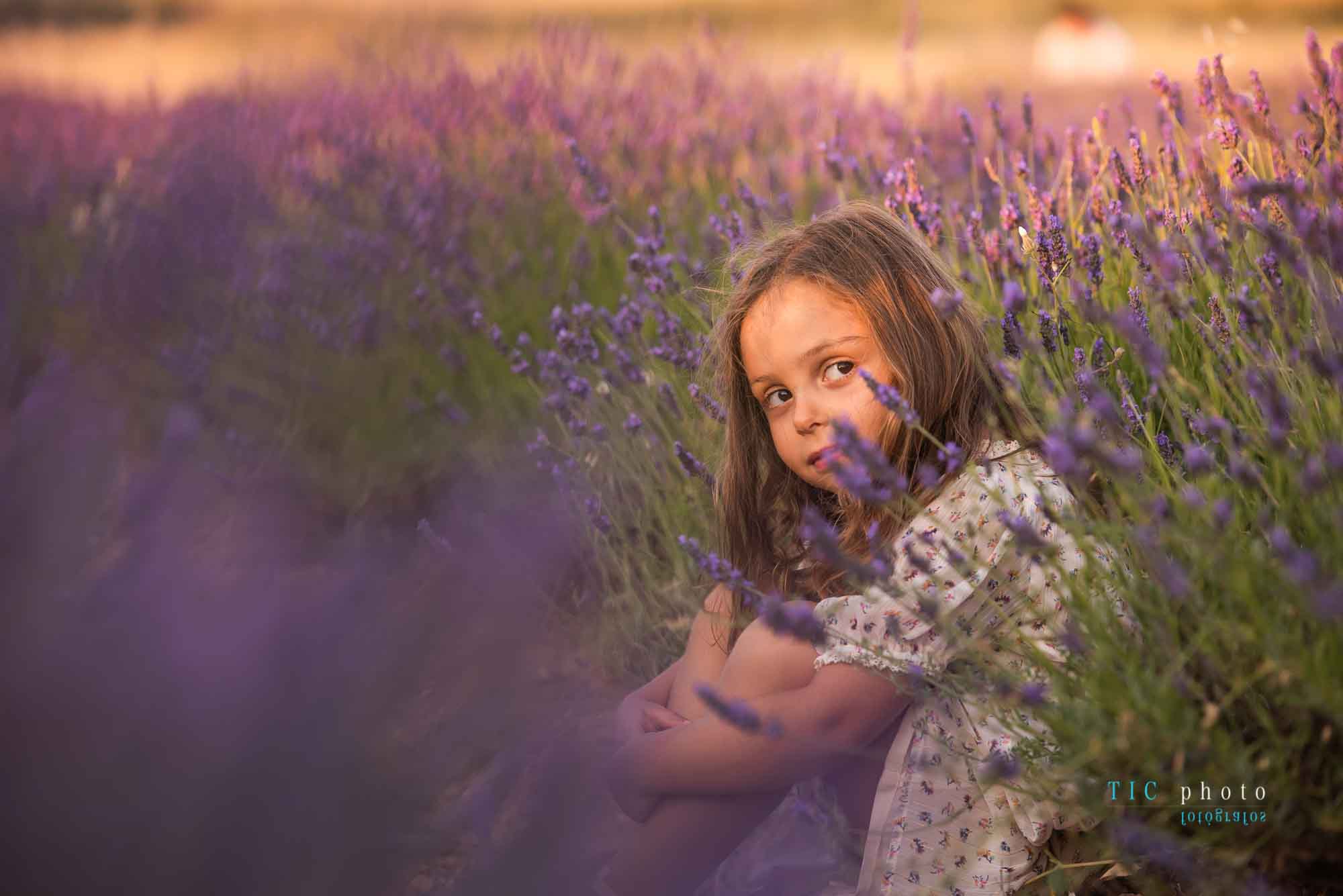Fotos en Campos de Lavanda. 2021 13