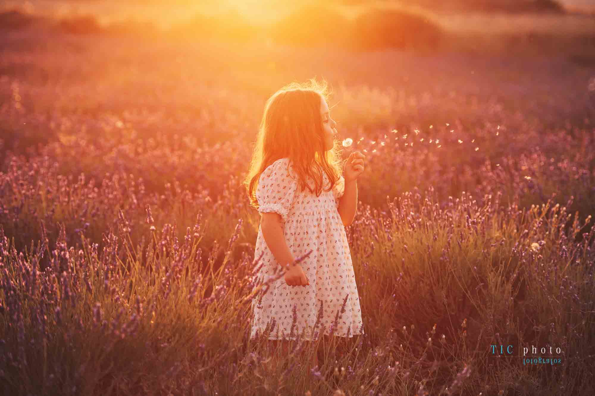 Fotos en Campos de Lavanda. 2021 18