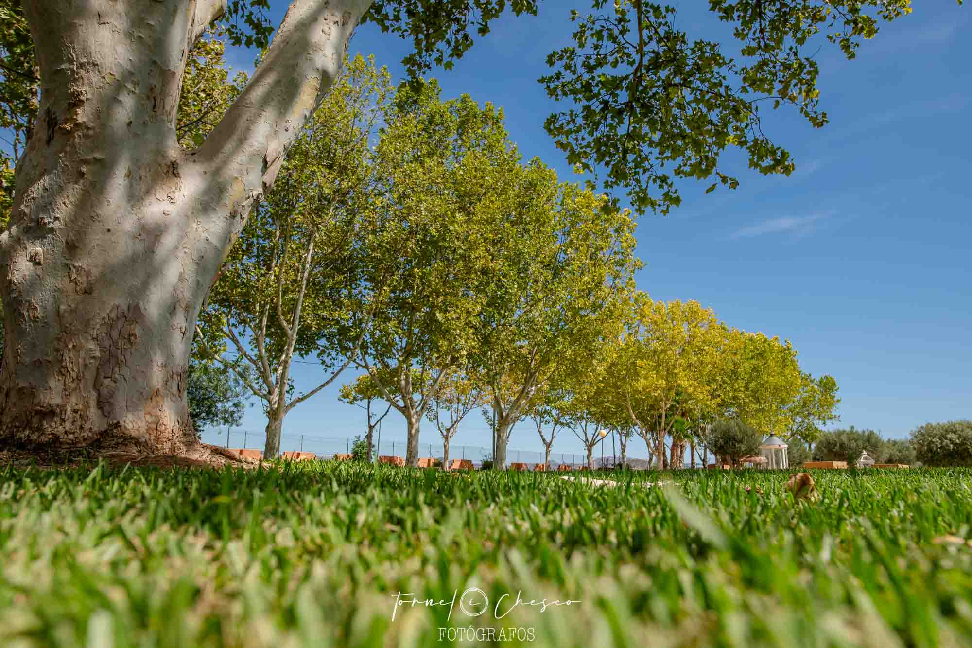 Fenomenal Boda Finca Los Sauces. Marina y Salva 2