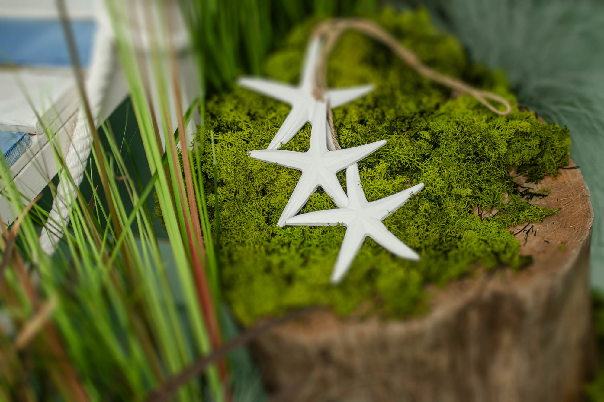 Sesiones de verano para niños en Murcia 2025 65