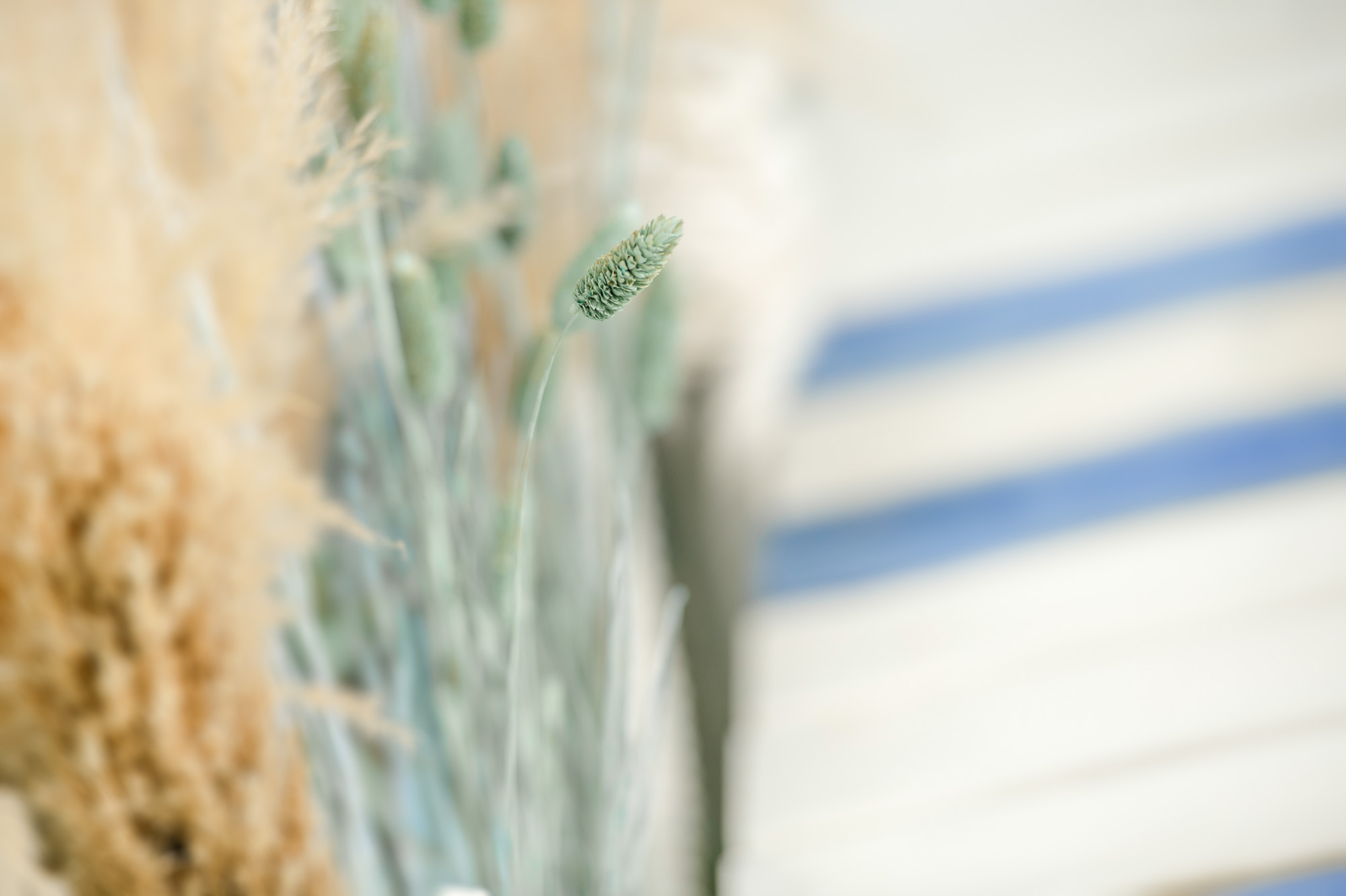 Sesiones de verano para niños en Murcia 2025 62